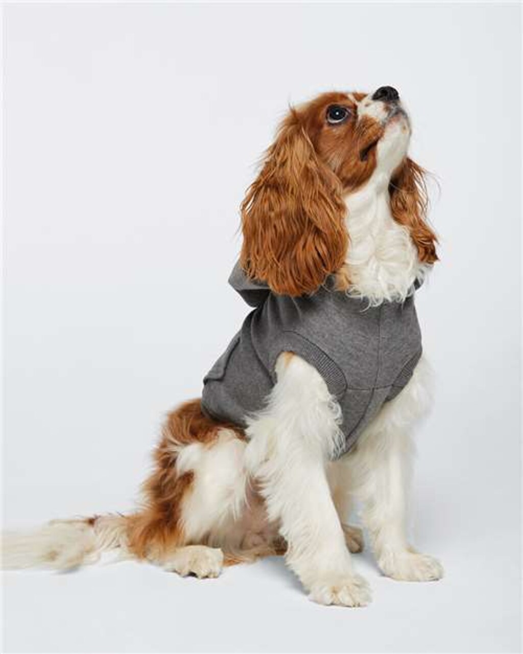 Doggie 3 End Fleece Hooded Sweatshirt Cozy Comfort for Your Furry Friend